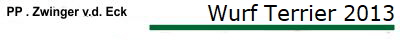 Wurf Terrier 2013