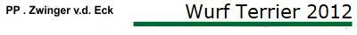 Wurf Terrier 2012