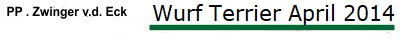 Wurf Terrier April 2014