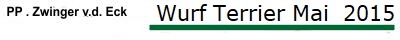 Wurf Terrier Mai  2015
