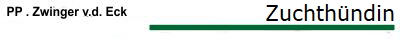 Zuchthndin